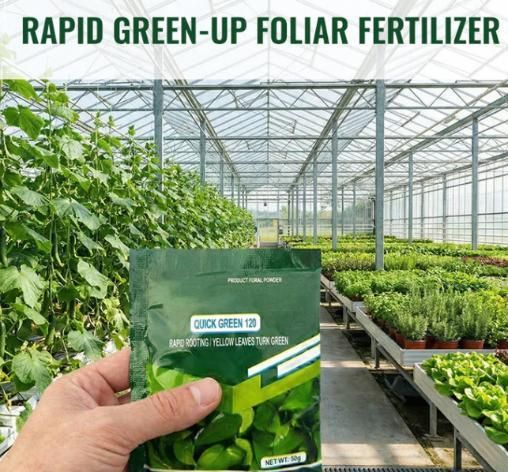 Rapid Green-Up Foliar Fertilizer 50gm (Pack of 1)