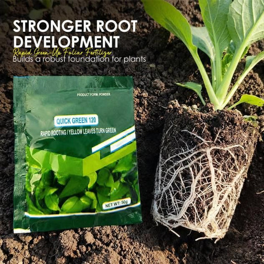 Rapid Green-Up Foliar Fertilizer 50gm (Pack of 1)